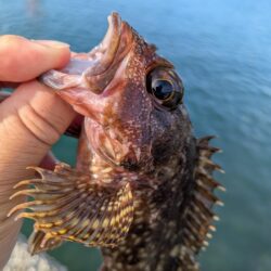 釣り場を転々と